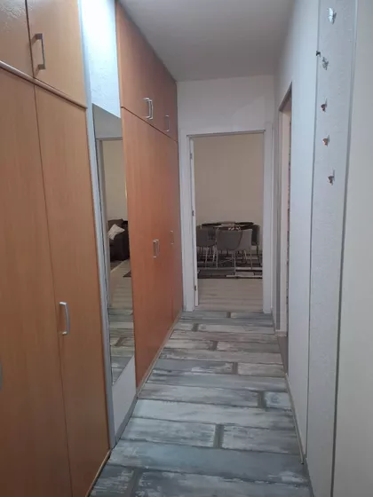 Dr Ivana Ribara 22 | 4zida.rs