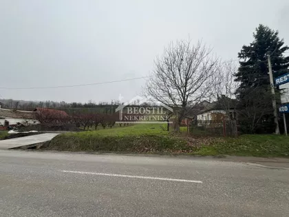 Zmaj Jovina | 4zida.rs