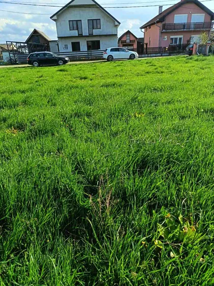 Đenerala Draže Mihailovića bb | 4zida.rs