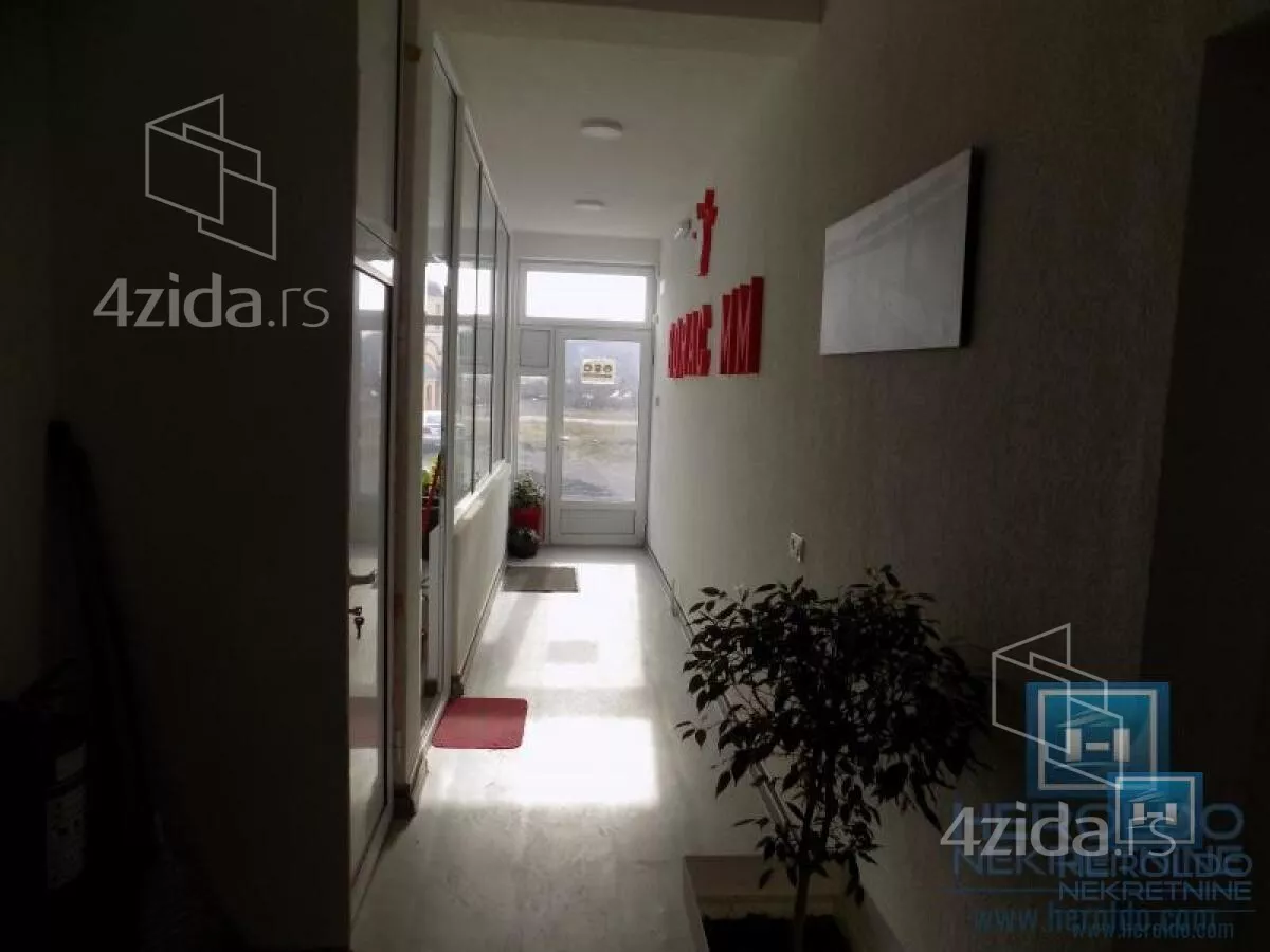 Hala | 4zida