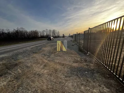 Čenej | 4zida.rs