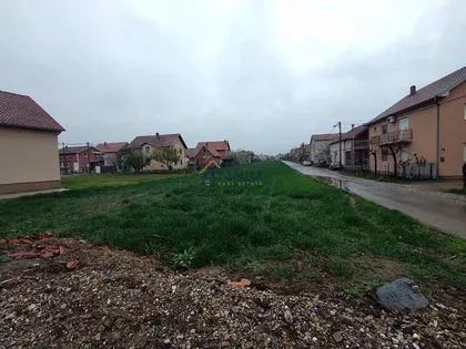 Jovana brankovića | 4zida.rs