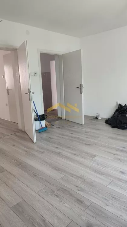 Salajka | 4zida.rs