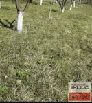Plac | 4zida
