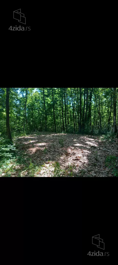 Poljoprivredno zemljište | 4zida