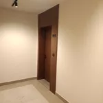 Pančevo, Gradske lokacije | 4zida.rs | 4zida.rs