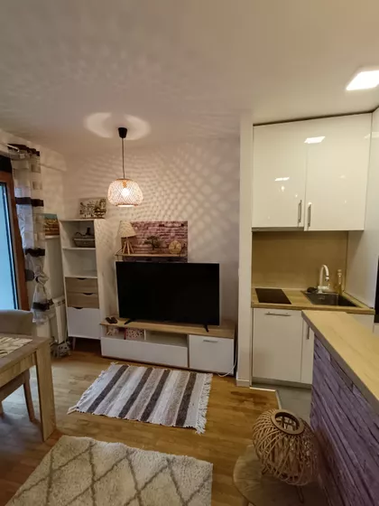 Vase Pelagića 5 | 4zida.rs