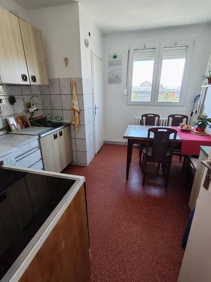 Stara Detelinara | 4zida.rs