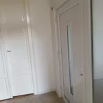 Trg Jakaba i Komora, Centar 2, Gradske lokacije, Subotica | 4zida.rs | 4zida.rs