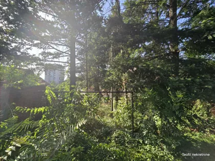 Lukijana Mušickog | 4zida.rs