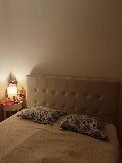 PAVLA SAVICA | 4zida.rs