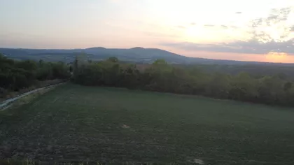 Kosni Put | 4zida.rs