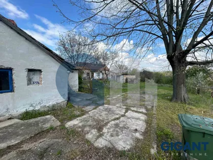 Afi Ekong | 4zida.rs