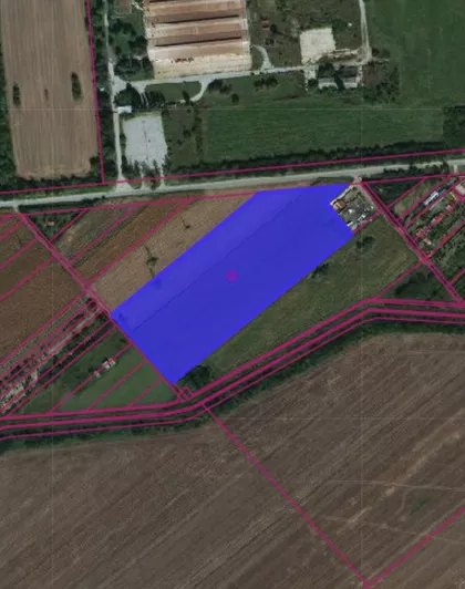 Zeleno Polje | 4zida.rs