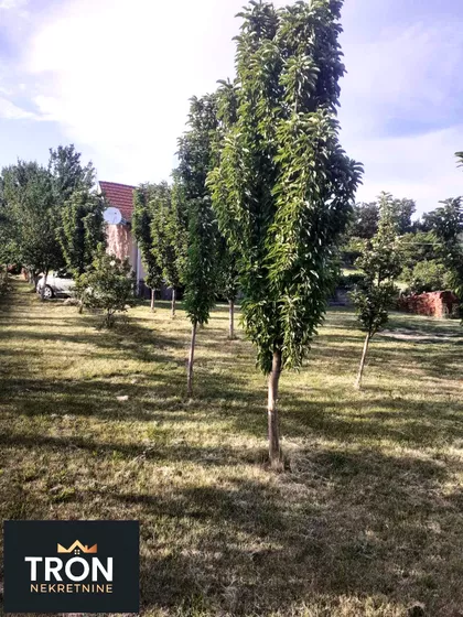 Sirčanska | 4zida.rs