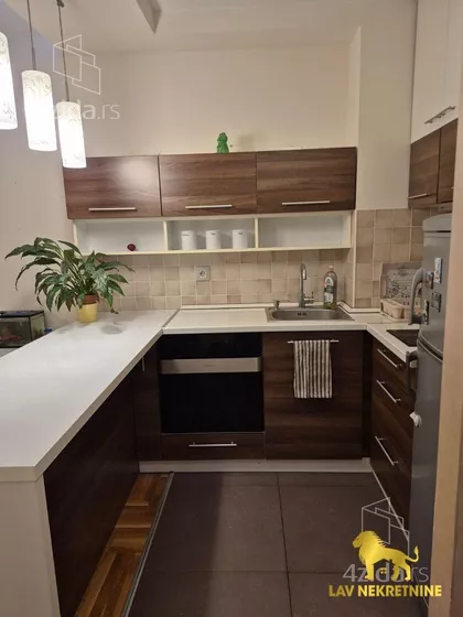 ANĐE RANKOVIĆ | 4zida.rs