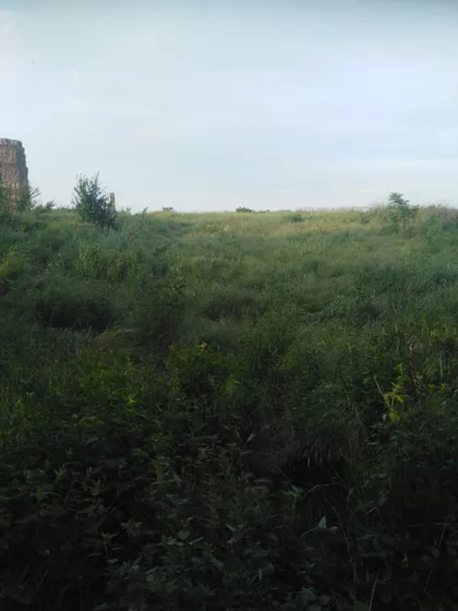 Brđanska | 4zida.rs