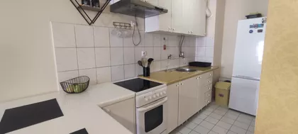 Miše Dimitrijevića | 4zida.rs