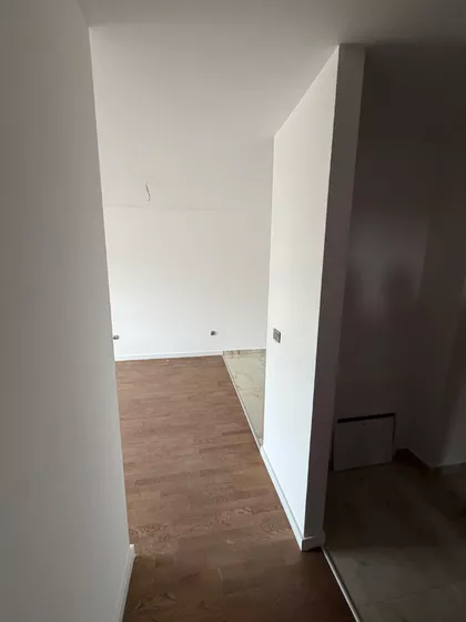 Miodraga Vlajića Šuke | 4zida.rs