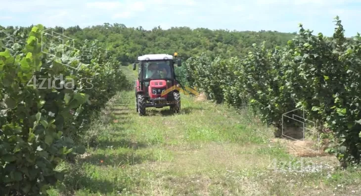 Poljoprivredno zemljište | 4zida