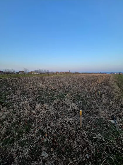 Loznica - Centar | 4zida.rs