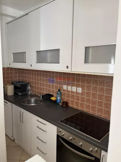 Miloja Đaka | 4zida.rs