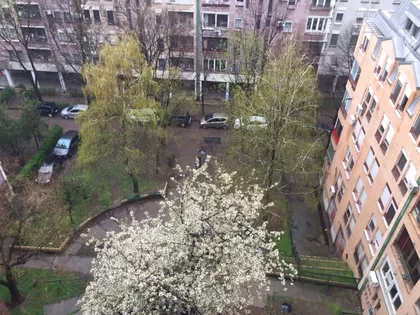 Vojislava Ilica | 4zida.rs