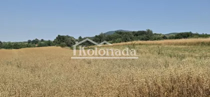 Rogača | 4zida.rs