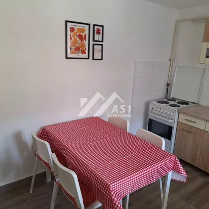 Koste Šokice | 4zida.rs