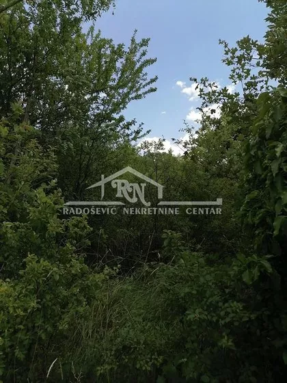 Alekse Žujovića | 4zida.rs