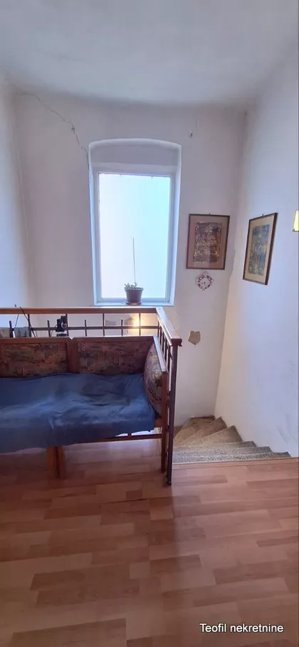 Sibinjanin Janka | 4zida.rs