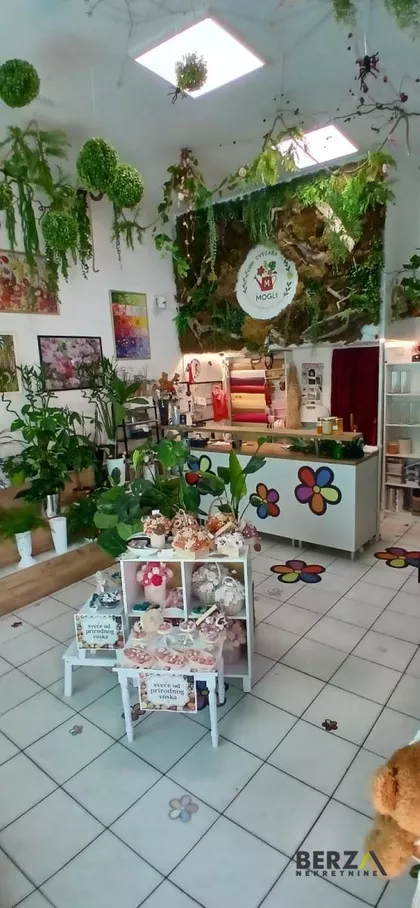 Bulevar Patrijarha Pavla (Somborski Bulevar) | 4zida.rs