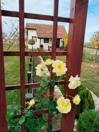 Dubočka 20 | 4zida.rs