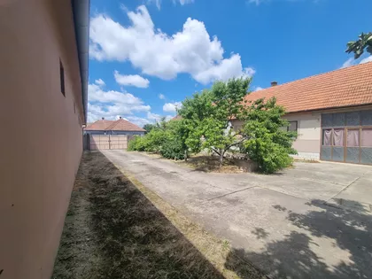 Branka Radičevića | 4zida.rs