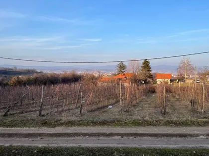 Put Za Guču | 4zida.rs