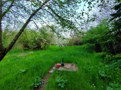 Čerević | 4zida.rs