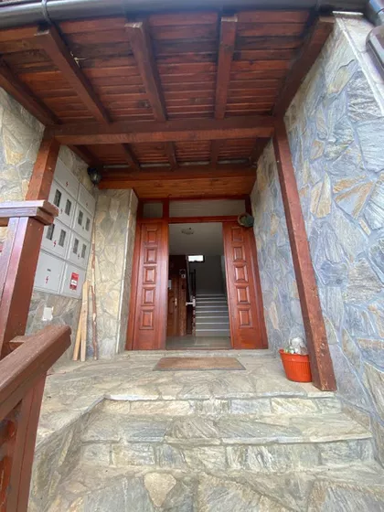 Profesora Aleksandra Nikolića | 4zida.rs