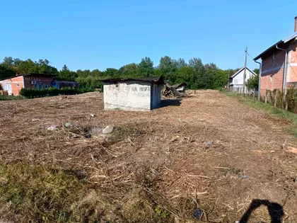 Petra Peje Damnjanovića | 4zida.rs