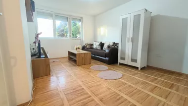 Radovana Miloševića