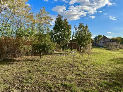 Jelene Anžujske | 4zida.rs