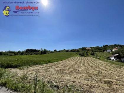 Sremska Kamenica | 4zida.rs