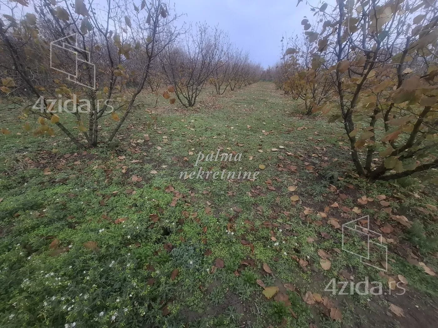 Poljoprivredno zemljište | 4zida