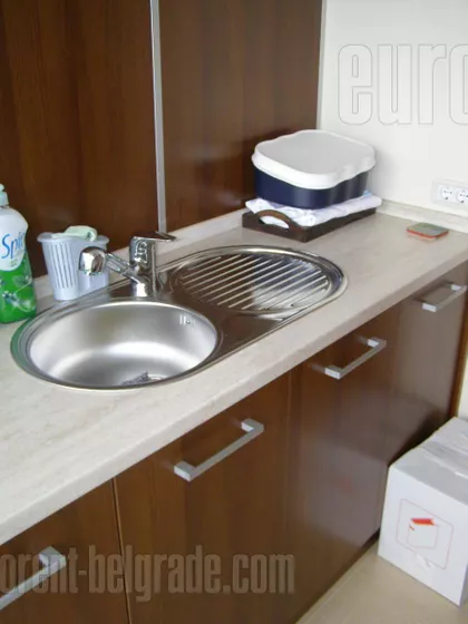 DEDINJE BELI DVOR | 4zida.rs