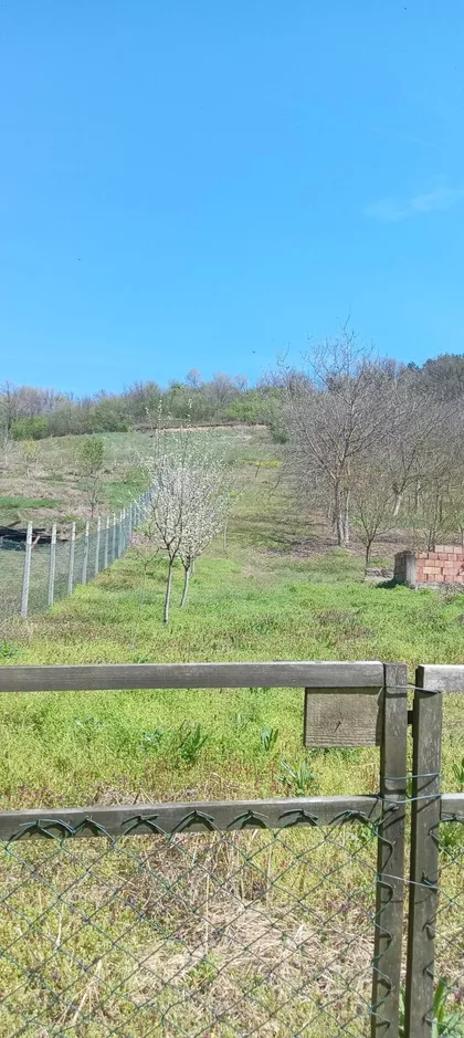 Sonje Marinković 163 | 4zida.rs