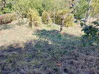 Banoštor, Okolne lokacije, Beočin | 4zida.rs