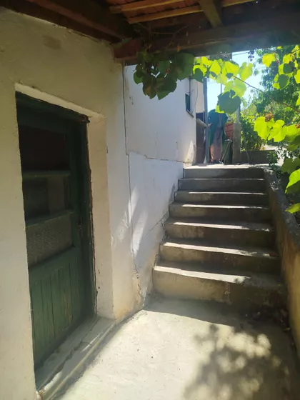 Dubrava | 4zida.rs
