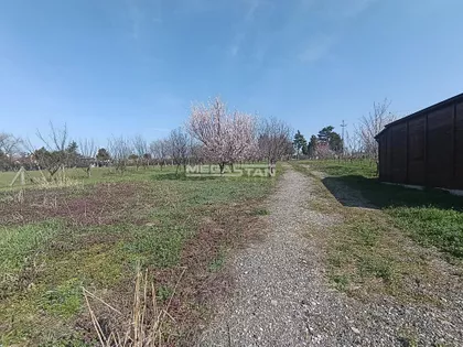 Ostružnica | 4zida.rs