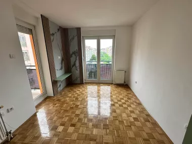 Dr Svetislava Kasapinovića