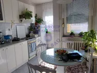 Detelinara, Gradske lokacije, Novi Sad | 4zida.rs