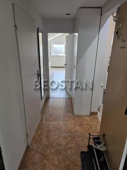 Dr Ivana Ribara | 4zida.rs